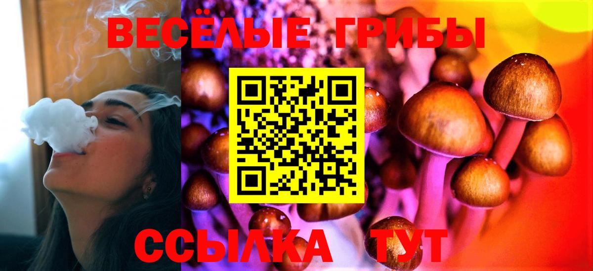 Галлюциногенные грибы GOLDEN TEACHER Кизляр